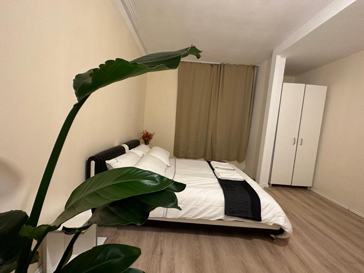 North London A Spacious 7 Bedroom House Accommodating Up To 18 People Complete With Own Gym And Table Tennis Exteriér fotografie